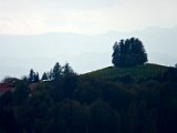 IMG_1291.jpg