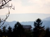 IMG_1294.jpg