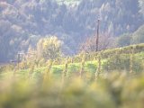 IMG_1295.CR2