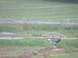 IMG_1319.CR2