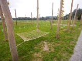 IMG_1349.jpg