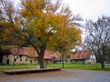 IMG_1387.jpg