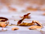 IMG_1397.jpg