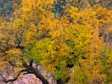 IMG_1401.jpg