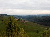 IMG_8797.jpg