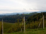 IMG_8813.jpg