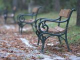 IMG_4047.CR2