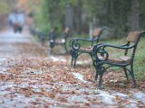 IMG_4072.CR2