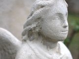 IMG_8964.CR2