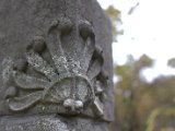 IMG_8969.CR2