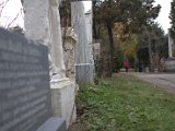 IMG_8994.CR2