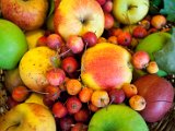 Foto111.jpg