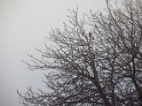 Foto121.jpg