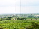 Foto022.jpg