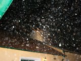 Foto116.jpg