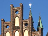 IMG_1524.CR2