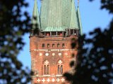 IMG_1528.CR2
