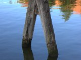 IMG_1548.CR2