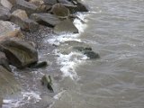 IMG_1667.CR2