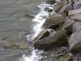 IMG_1669.CR2