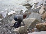 IMG_1673.CR2