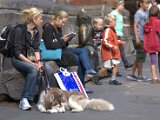 IMG_2612.CR2