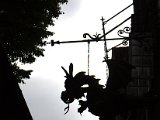 IMG_2724.CR2