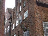 IMG_2725.CR2