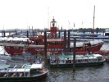 IMG_7519.CR2