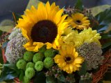 IMG_7899.CR2
