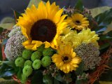 IMG_7900.CR2