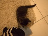 IMG_6929.CR2