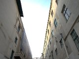 IMG_7983.CR2
