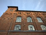 IMG_7993.CR2
