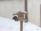 IMG_9592.CR2