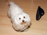 IMG_0291.jpg