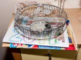 IMG_0596.jpg