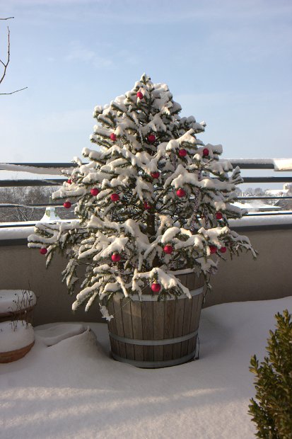 Foto11