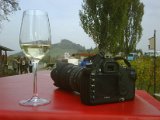 IMG00295-20101016-1223.jpg