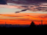 IMG_1701.jpg