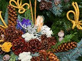 IMG_8547 b.jpg