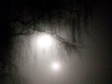 Foto57.jpg