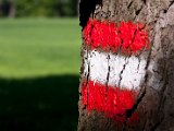 IMG_3312.jpg