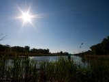 IMG_3356.jpg