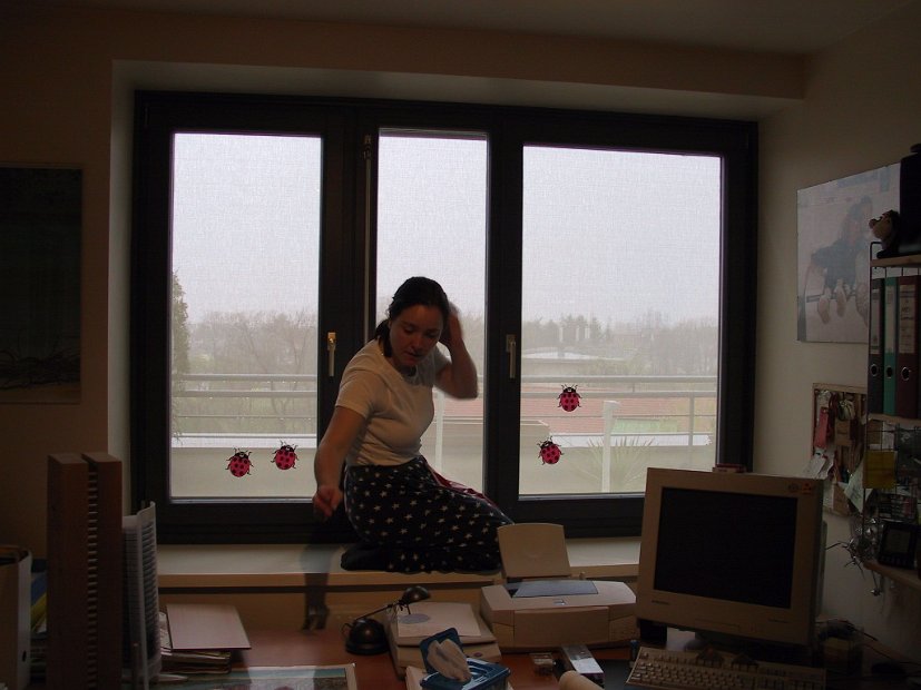2002 04 14 Büro 09