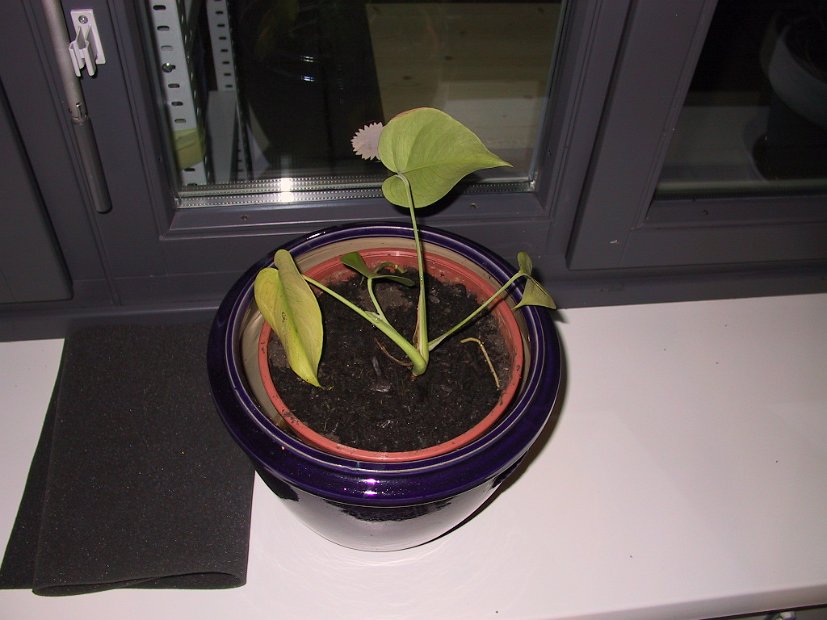 2002 04 21 Img_7371