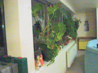 2002 04 21 Wohnzimmer Mvi_7358