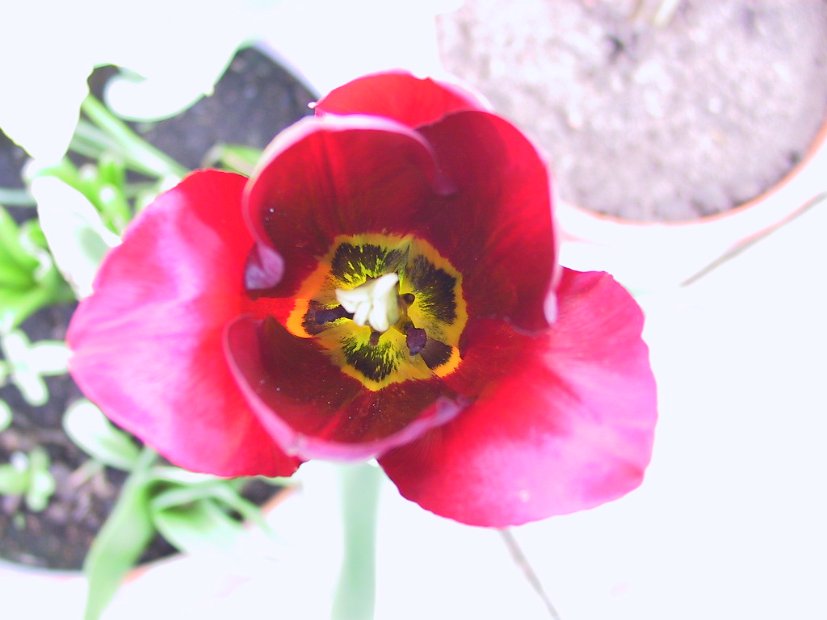2002 04 22 Img_7455