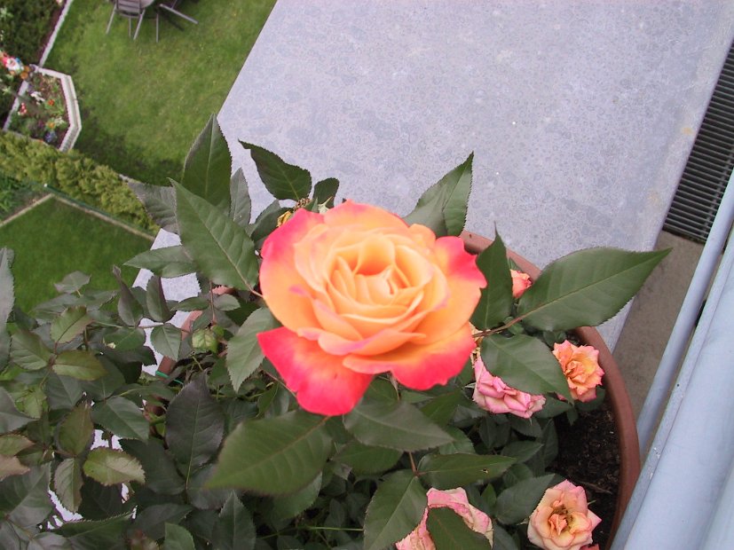 2002 04 27 Img_7677