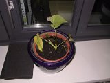2002 04 21 Img_7371.JPG